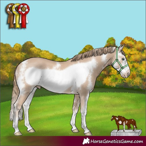 Horse Color:Smoky Creme Sabino Frame