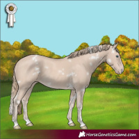 Horse Color:White Spotted Smoky Creme Rabicano