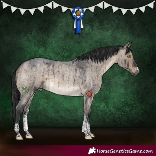 Horse Color:Brown Roan Dun Sabino Brindle 