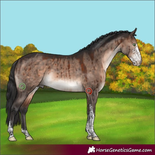 Horse Color:Brown Dun Mushroom Sabino Rabicano Brindle 
