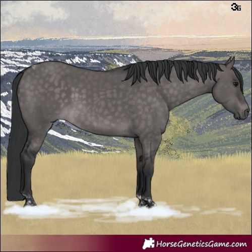 Horse Color:Platinum Brown Dun Tobiano 
