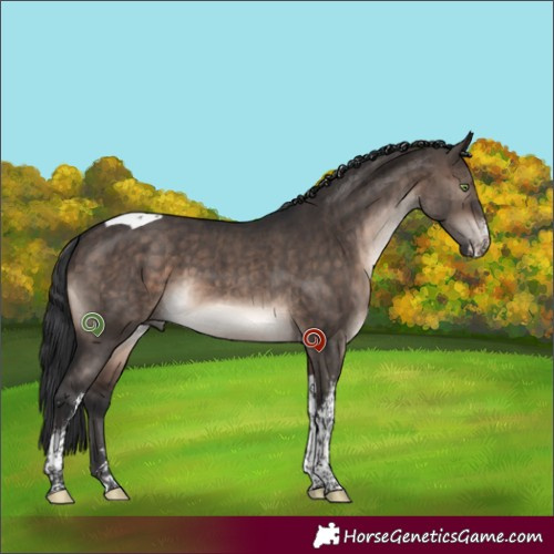 Horse Color:Brown Dun Mushroom Sabino Tobiano Brindle 