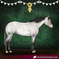 Horse Color:Brown Roan Dun Mushroom Sabino Brindle