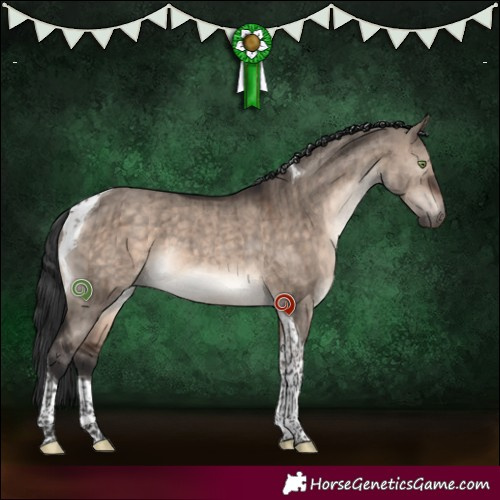 Horse Color:Brown Dun Mushroom Tobiano Brindle 