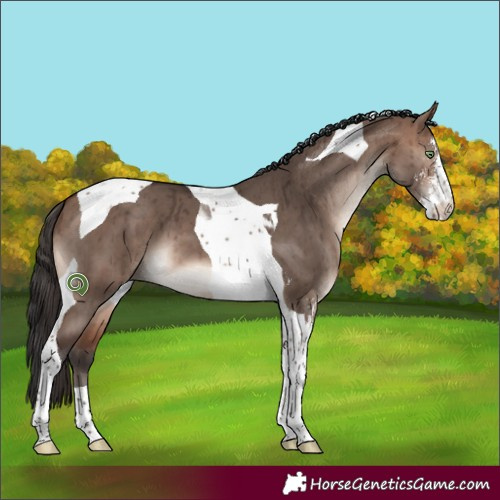 Horse Color:Bay Dun Mushroom Sabino Tobiano Brindle 