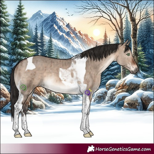 Horse Color:Brown Dun Mushroom Tobiano Brindle