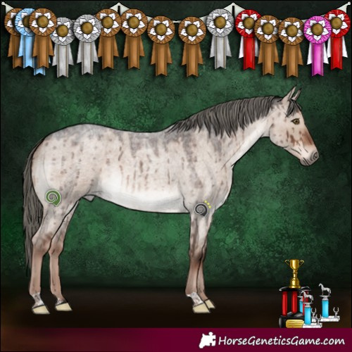 Horse Color:Liver Red Dun Roan Mushroom Brindle 