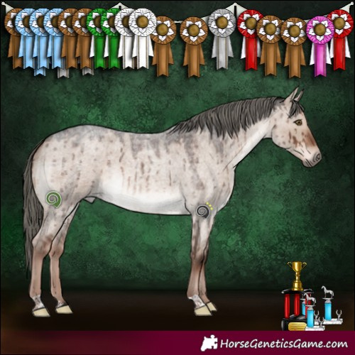 Horse Color:Liver Red Dun Roan Mushroom Brindle