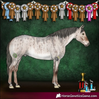 Horse Color:Liver Red Dun Roan Mushroom Brindle