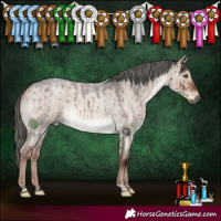 Horse Color:Liver Red Dun Roan Mushroom Brindle