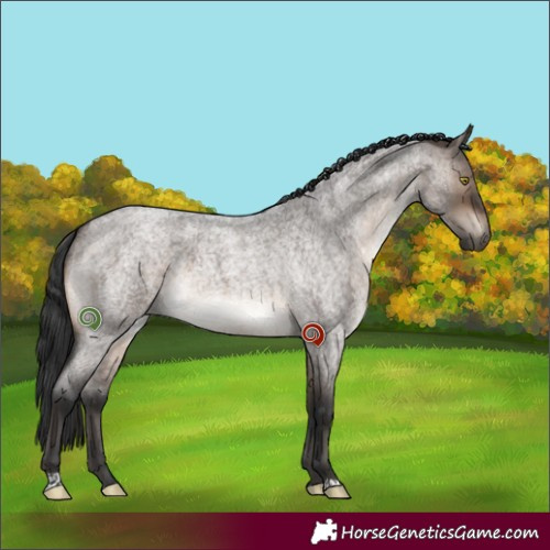 Horse Color:Brown Roan Dun 