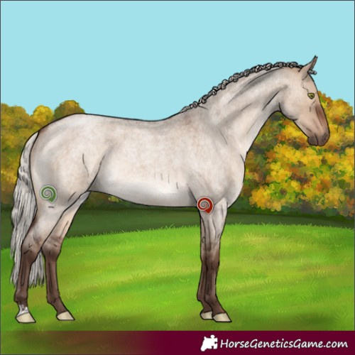 Horse Color:Silver Brown Roan Dun 