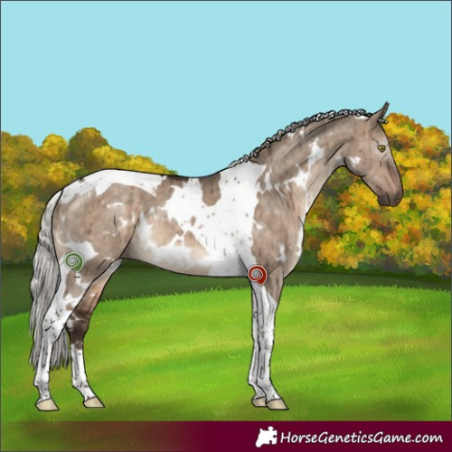 Horse Color:White Spotted Silver Brown Dun Tobiano Brindle 