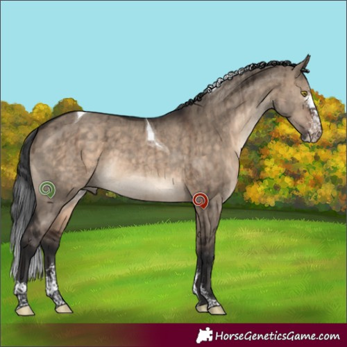 Horse Color:Brown Dun Sabino Tobiano Brindle 