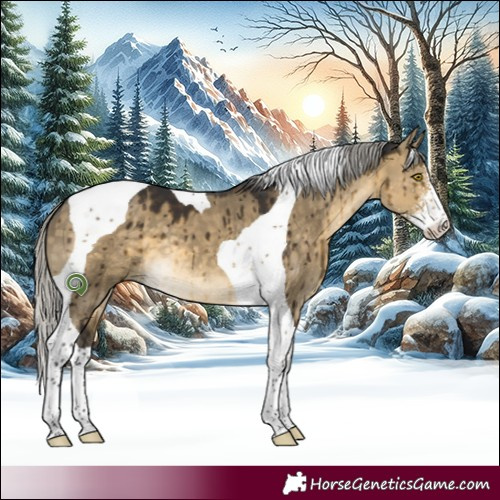 Horse Color:Silver Buckskin Dun Sabino Tobiano Brindle