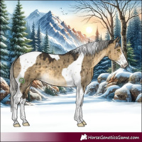 Horse Color:Silver Buckskin Dun Sabino Tobiano Brindle 