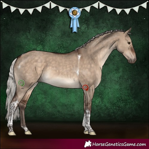 Horse Color:Silver Brown Dun Tobiano 