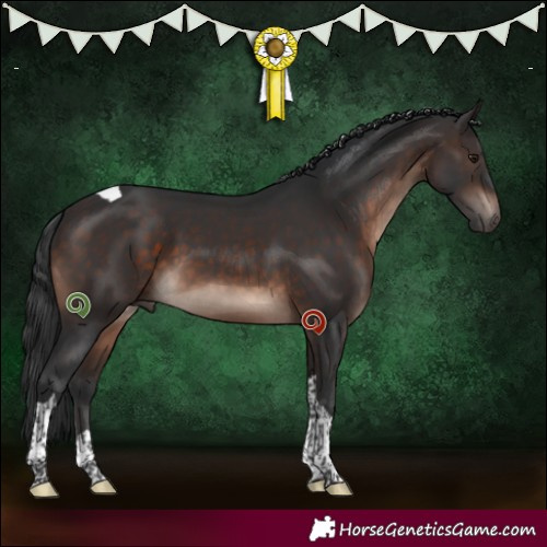 Horse Color:Brown Mushroom Tobiano 