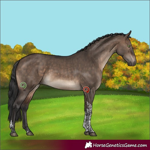 Horse Color:Brown Dun Tobiano Rabicano Brindle 