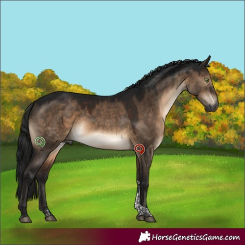 Horse Color:Gray Brown Dun Mushroom Tobiano 