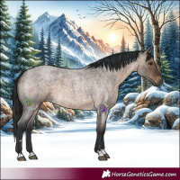 Horse Color:Brown Roan Dun 