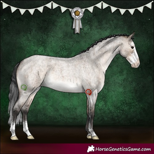 Horse Color:Brown Roan Dun Sabino Brindle 