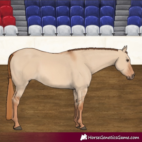 Horse Color:Red Dun 