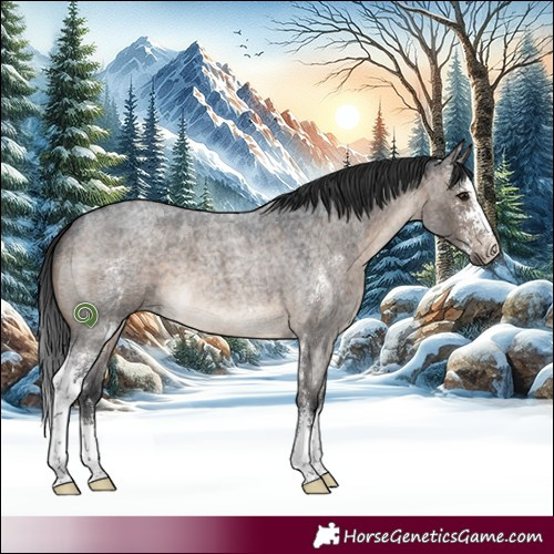 Horse Color:Brown Roan Dun Sabino 