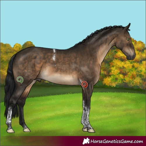 Horse Color:Gray Brown Dun Tobiano Brindle 