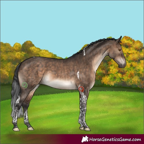 Horse Color:Brown Dun Tobiano Brindle 