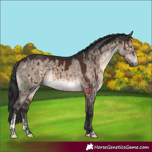 Horse Color:Brown Dun Mushroom Sabino Brindle 
