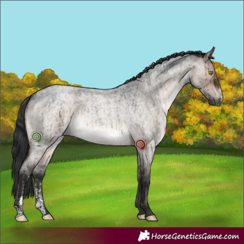 Horse Color:Brown Roan Dun Sabino Brindle 