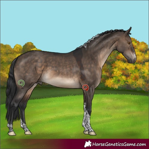 Horse Color:Brown Dun Sabino Tobiano 