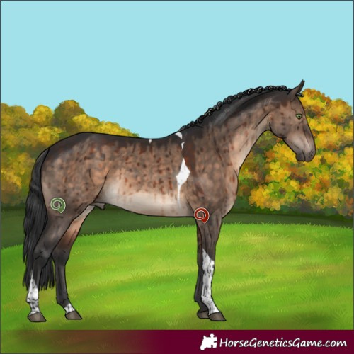 Horse Color:Brown Dun Tobiano Brindle 
