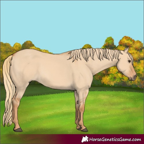 Horse Color:Red Dun 