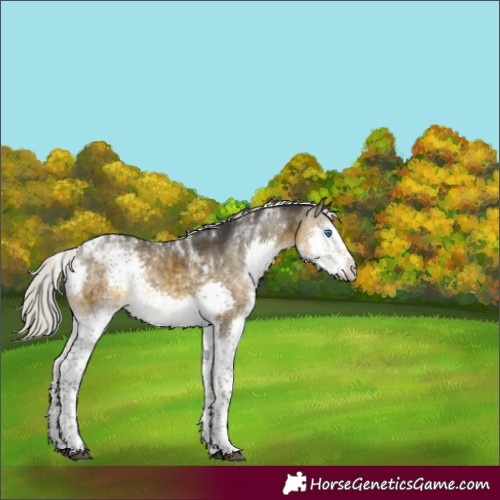Horse Color:Silver Buckskin Mushroom Splash Tobiano