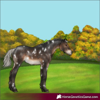 Horse Color:Gray White Spotted Silver Bay Mushroom Varnish 