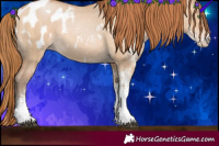 Horse Color:White Spotted Brown Snowdrop Pearl Dun Tobiano Appaloosa Rabicano 
