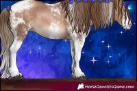 Horse Color:White Spotted Brown Snowdrop Pearl Tobiano 