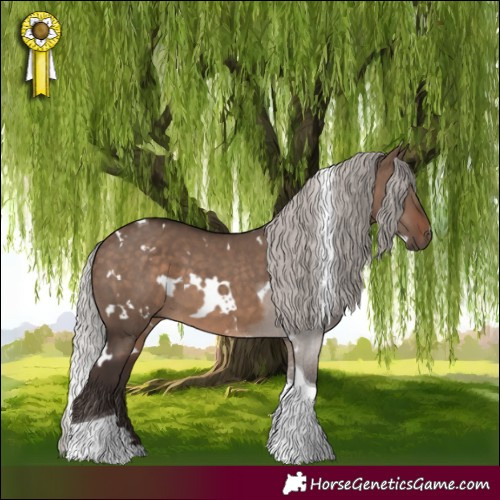 Horse Color:White Spotted Silver Brown Dun Tobiano 