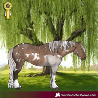 Horse Color:White Spotted Silver Brown Dun Tobiano