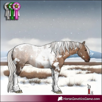 Horse Color:White Spotted Silver Brown Dun Tobiano 