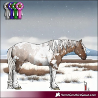 Horse Color:White Spotted Silver Brown Dun Tobiano