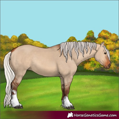Horse Color:White Spotted Silver Bay Dun Rabicano 