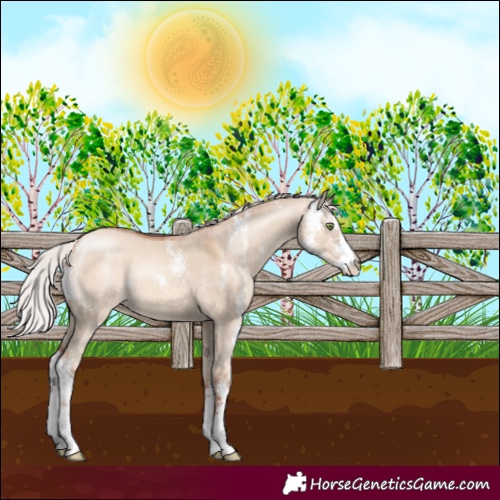 Horse Color:Silver Sable Champagne Dun Sabino 