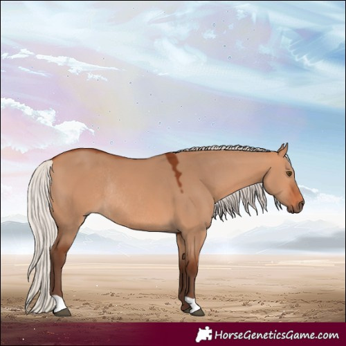 Horse Color:Silver Bay Dun Rabicano 