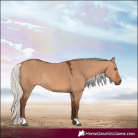 Horse Color:Silver Bay Dun Rabicano 