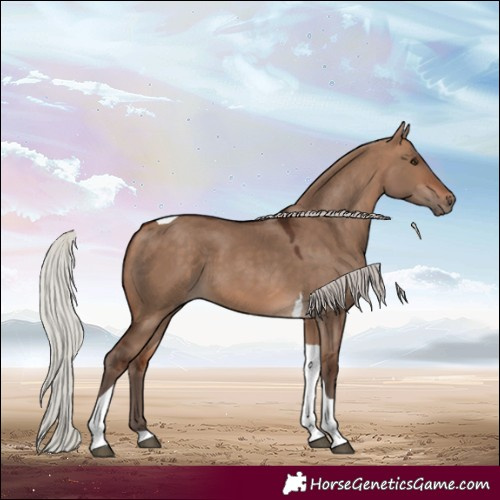Horse Color:Silver Bay Dun Tobiano 