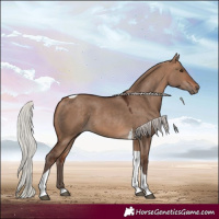 Horse Color:Silver Bay Dun Tobiano 