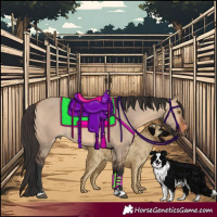 Horse Color:Bay Dun Rabicano